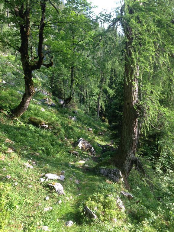 Alte Zimmerei - Lofer Bagian luar foto